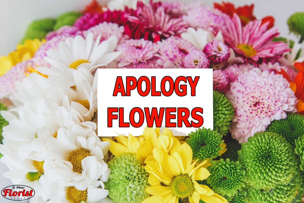 apology flowers Akron